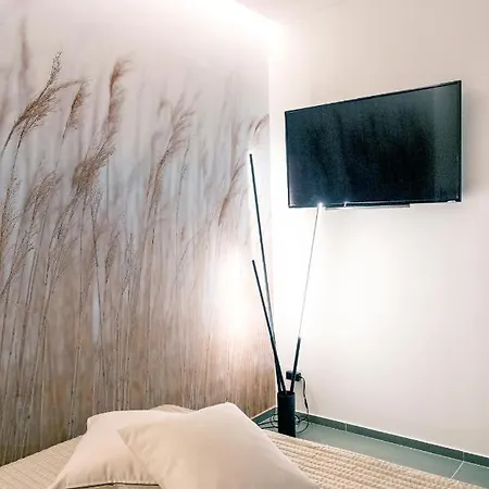 Apartment Casa Duca -